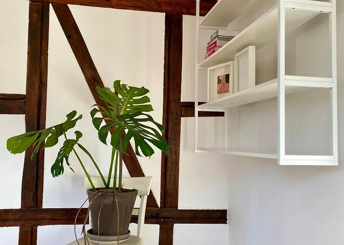 Eichhaus Eifel Ferienhaus Rheinbach